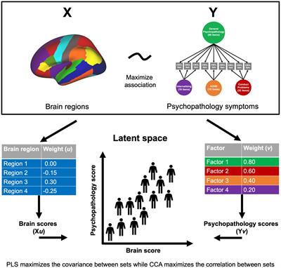 Multivariate analytical approaches for investigating brain-behavior relationships